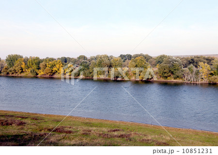 Landscape with forest and river 10851231