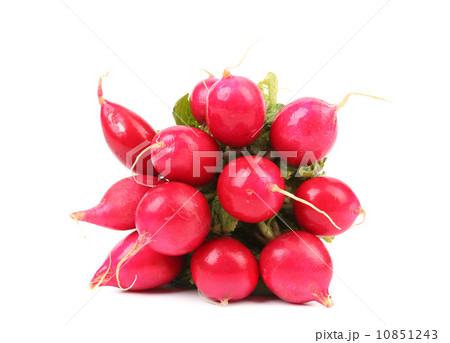 Small garden radish. 10851243