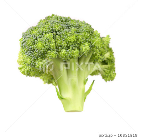 Fresh broccoli. 10851819