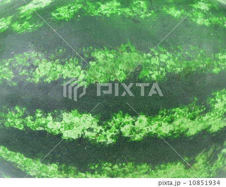 Watermelon texture 10851934
