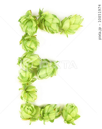 Hop flowers laid in form of letter E. Hop flowers laid in form of letter E. 10851974