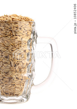 Beer mug with barley. 10852406