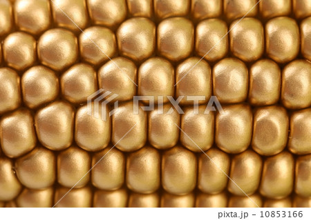 Background of golden indian corn. Close up. Background of golden indian corn. Close up. 10853166
