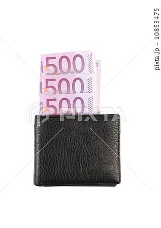 Five hundred euro in purse. 10853475
