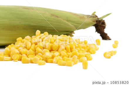 Closed corncob and corn kernels 10853820