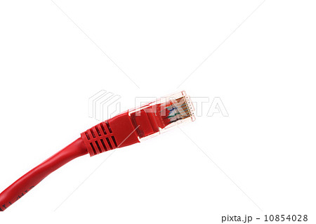 Plug of connection. Plug of connection. 10854028
