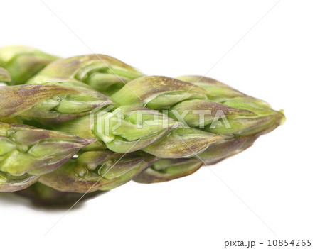 Close-up of top asparagus. 10854265