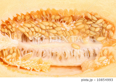 Close up of a melon on the inside Close up of a melon on the inside 10854993