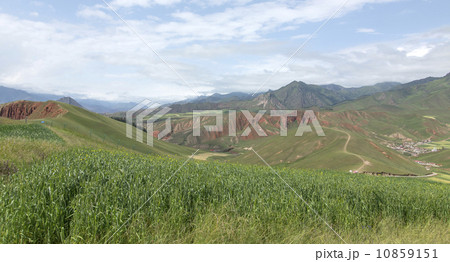 china qinghai qilian 10859151