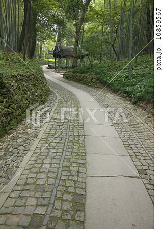 China Hangzhou Bamboo Pavilion 10859567