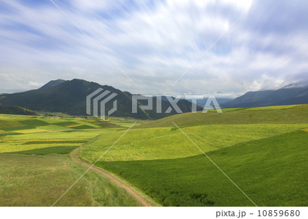 china qinghai qilian 10859680