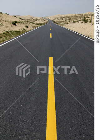 Desert Highway 10859735