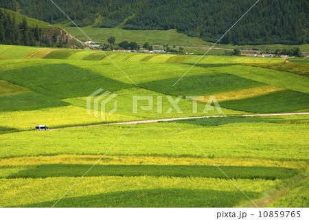 Beautiful fields in autumn Beautiful fields in autumn 10859765