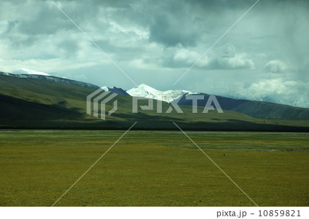 Mountain meadow in Tibet Mountain meadow in Tibet 10859821
