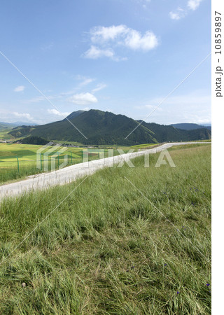 china qinghai qilian 10859897