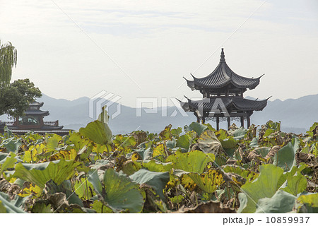 China Pavilion lotus Mountains 10859937