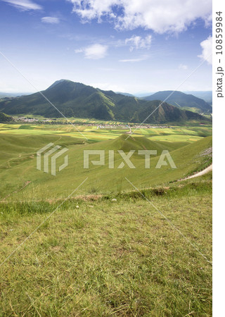 china qinghai qilian 10859984