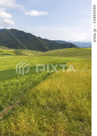 Qilian mountain landscapes Qilian mountain landscapes 10860080