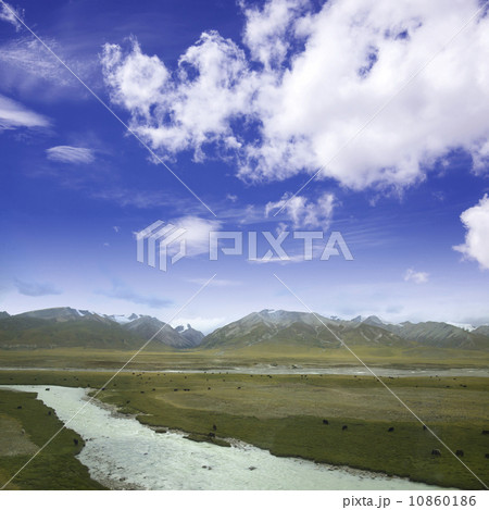 Snowy River 10860186
