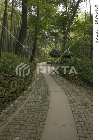 Bamboo forest trail in Hangzhou, China 10860460