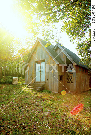 Forest huts 10860494