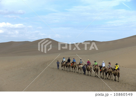 Desert camel 10860549