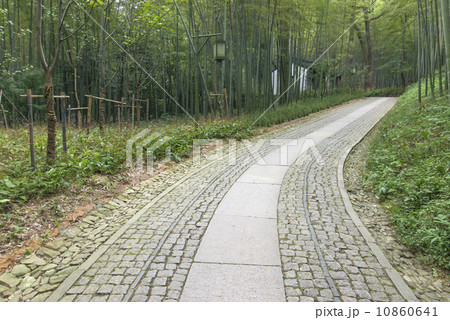 Bamboo forest trail in Hangzhou, China 10860641