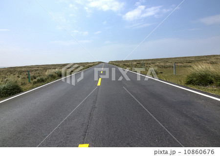 Arid grasslands road 10860676