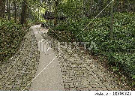 Bamboo forest trail in Hangzhou, China Bamboo forest trail in Hangzhou, China 10860825