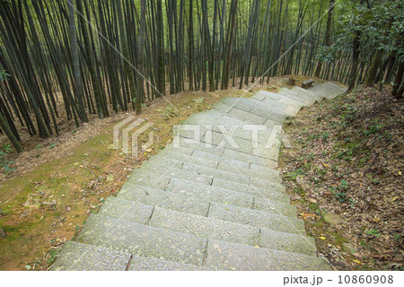 Bamboo forest trail in Hangzhou, China 10860908
