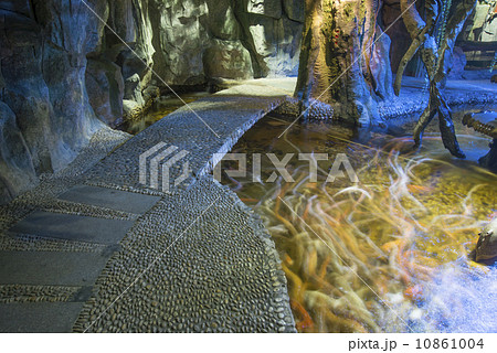 Slow shutter speeds of carp pond 10861004