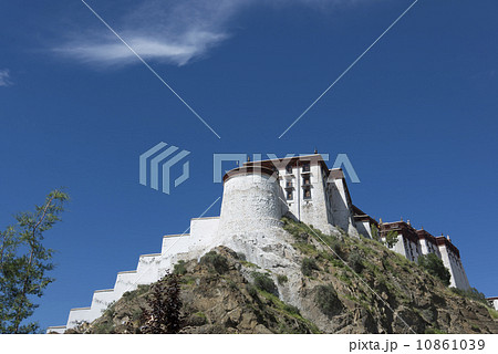 China Tibet grassland and the Potala Palace. China Tibet grassland and the Potala Palace. 10861039