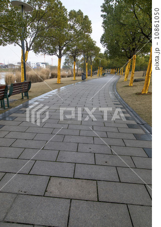 Parks and corridors of trees 10861050