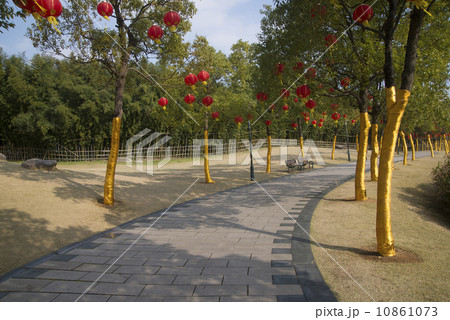 Parks and corridors of trees 10861073