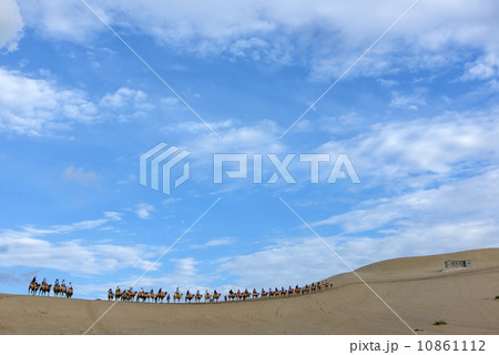 Desert camel 10861112