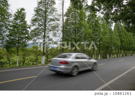 Car drove through the woods road 10861261
