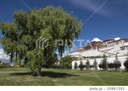 Potala palace in Lhasa, Tibet Potala palace in Lhasa, Tibet 10861383