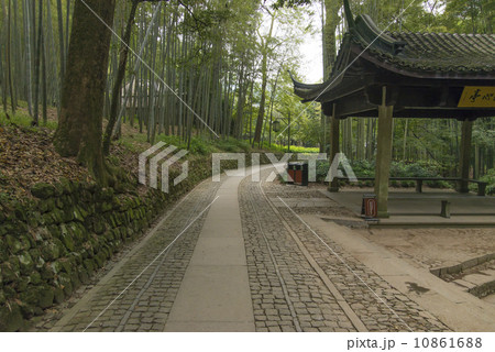 China Hangzhou Bamboo Pavilion 10861688