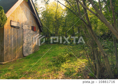 Wooden woods Wooden woods 10861716