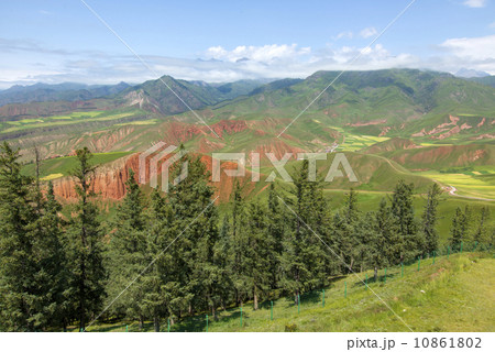 Pine Mountain 10861802