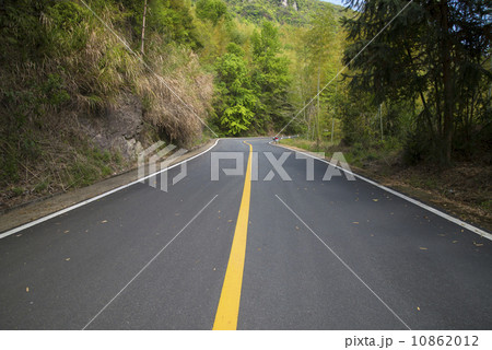Woods road, speckled leaves. 10862012