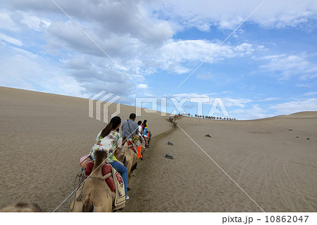 Desert camel Desert camel 10862047