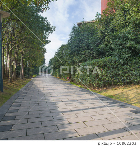 Park trails Park trails 10862203