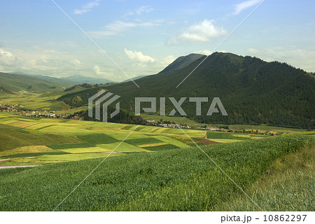 china qinghai qilian 10862297