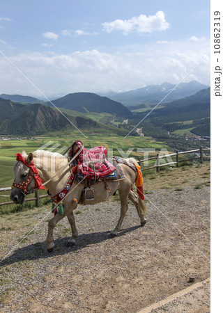 Bucolic horse 10862319