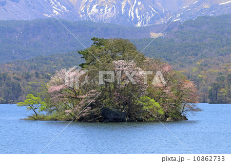 桧原湖の桜島 桧原湖の桜島 10862733