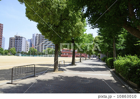 磯上公園グランド 10863010
