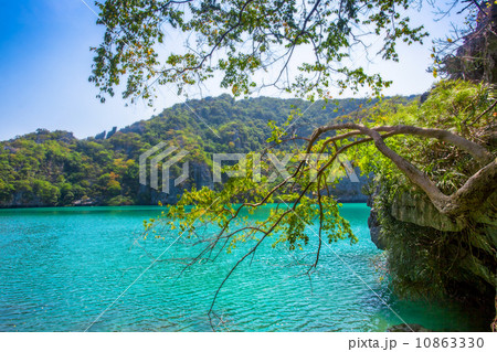 Ang Thong National Marine Park 10863330