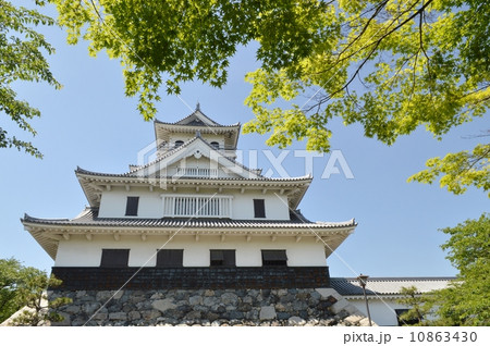 新緑の長浜城 10863430