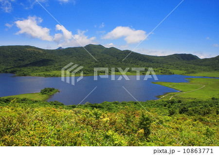 雄国沼湿原 10863771